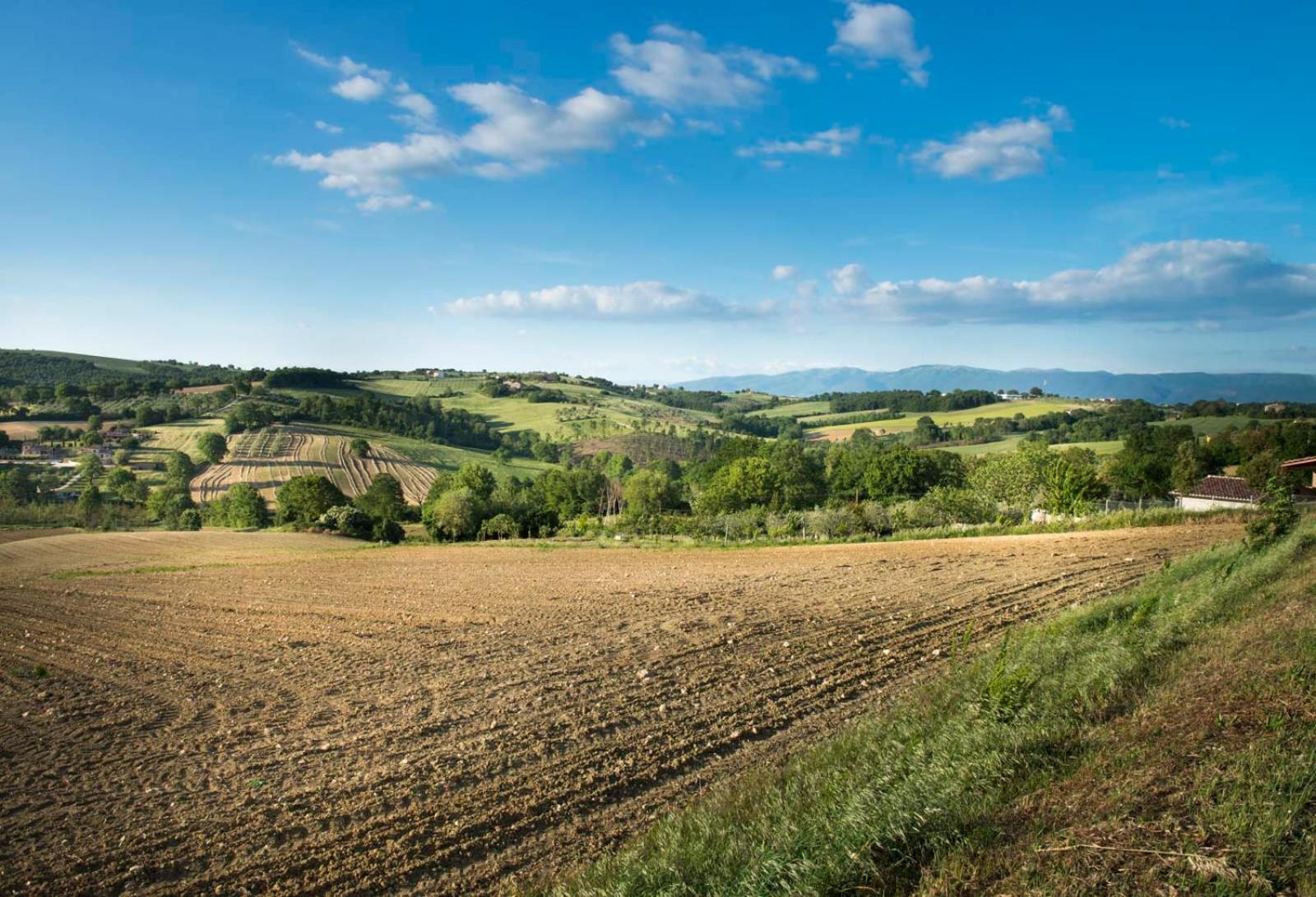 Agriturismo Piano Grande Avigliano Umbro Exteriér fotografie
